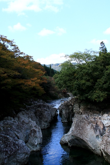 d0126577_1065418.jpg