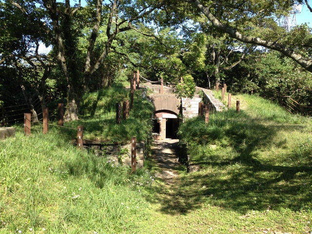 b0046478_2026525.jpg