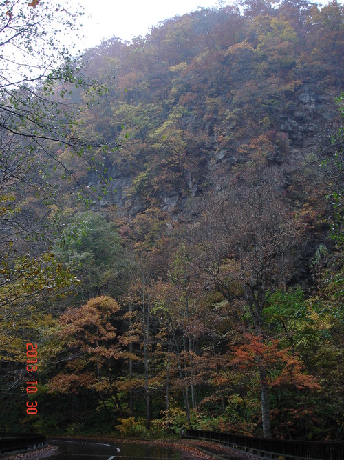 d0165378_9521717.jpg