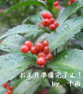 f0039281_18275861.jpg