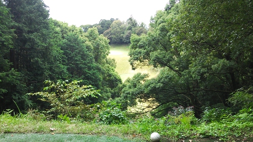 e0015490_1633426.jpg