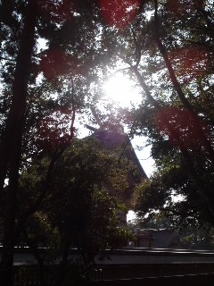e0159905_1157378.jpg
