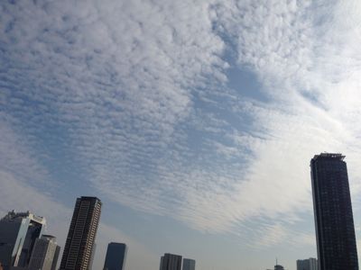 d0154508_16424189.jpg