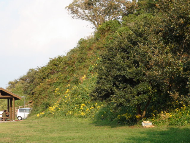 f0231709_12161553.jpg