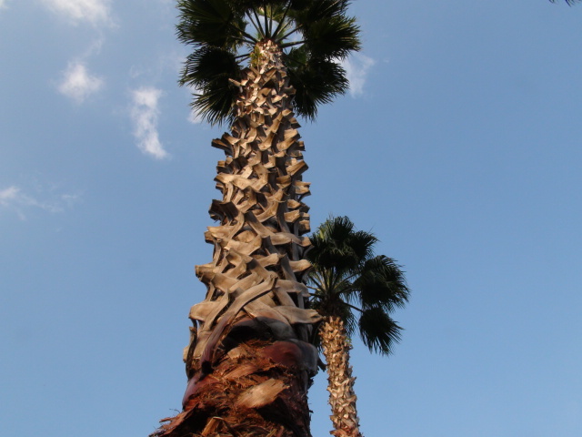 f0231709_12323737.jpg