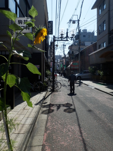 c0062511_22114261.jpg