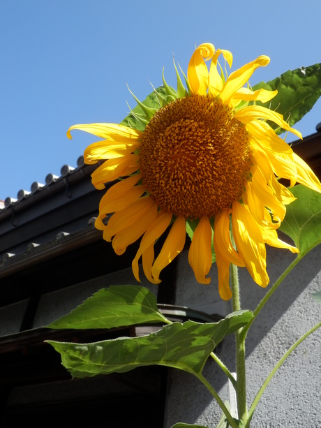 c0062511_22195455.jpg