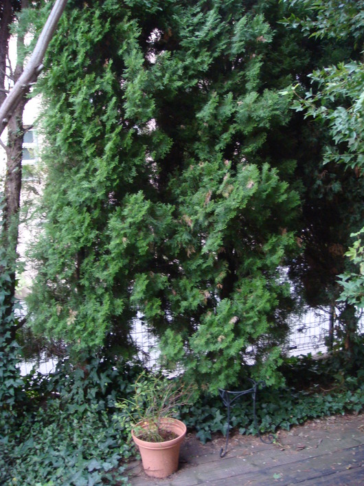 b0305914_15382062.jpg