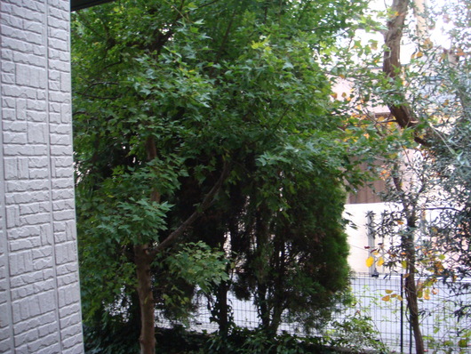 b0305914_15382755.jpg