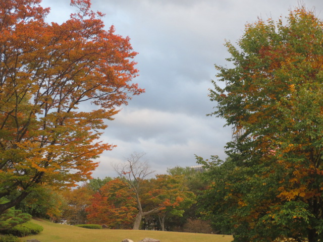 f0248616_9241131.jpg