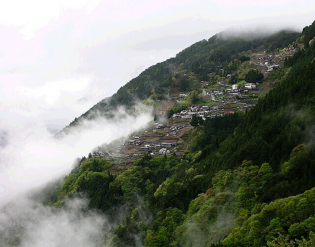 a0047220_915211.jpg