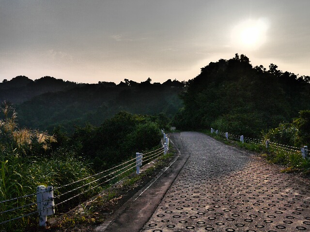 a0047220_920880.jpg