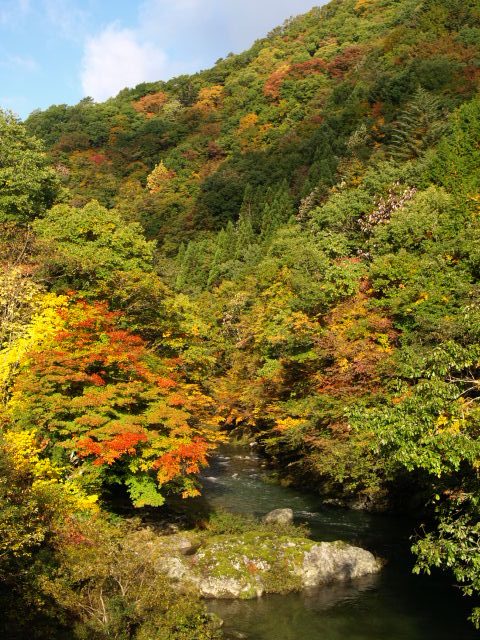 e0256122_15565868.jpg