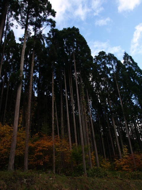 e0256122_15594956.jpg