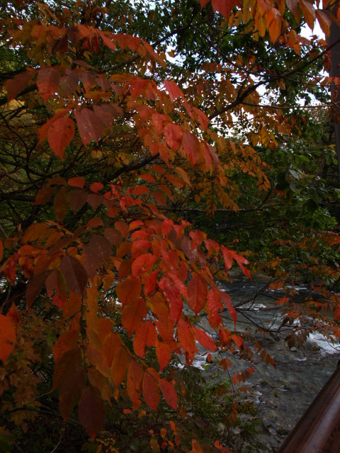 e0256122_162693.jpg