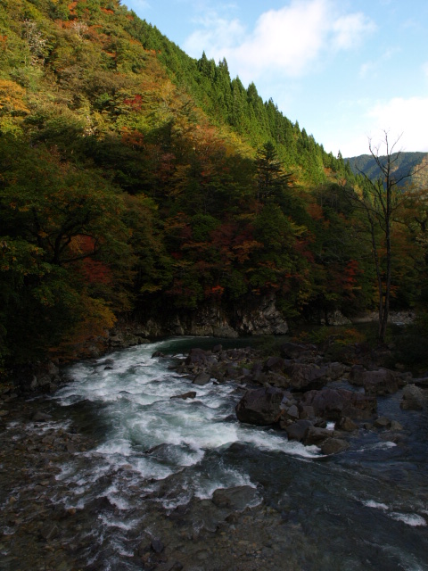 e0256122_163051.jpg