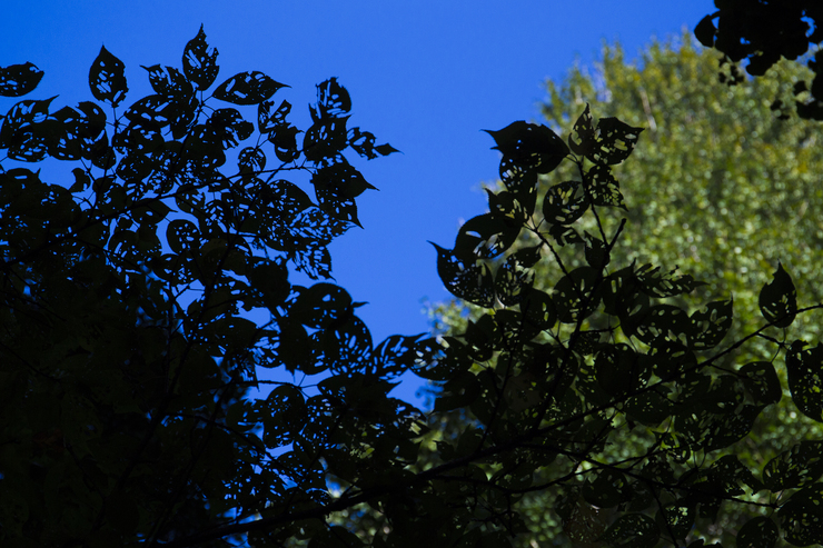 e0238623_13372493.jpg