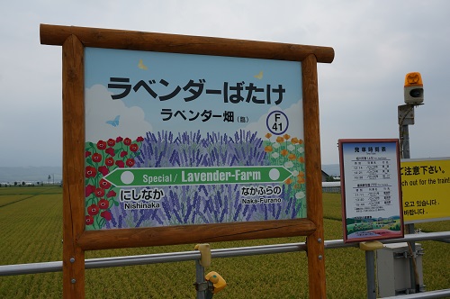 f0037227_2384989.jpg