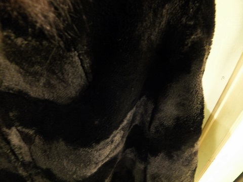 b0242134_1716761.jpg