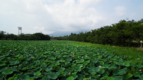 f0029038_2129242.jpg