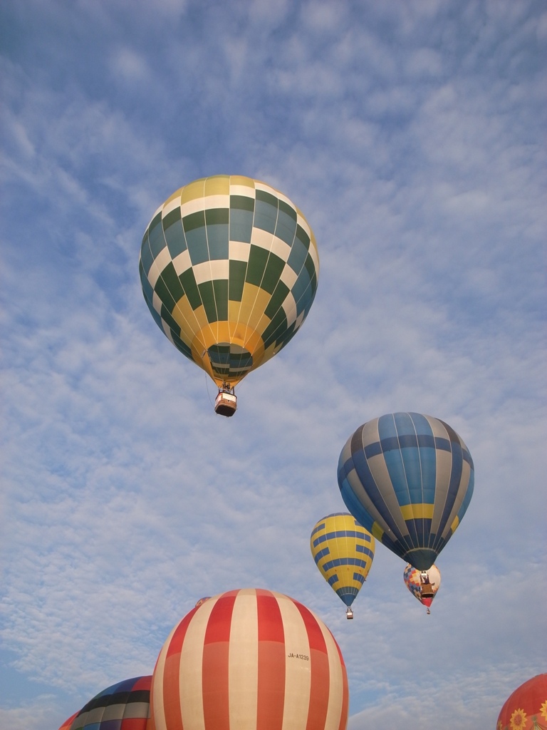 f0176239_9334251.jpg