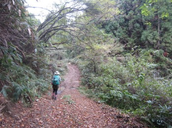 e0110940_2139811.jpg