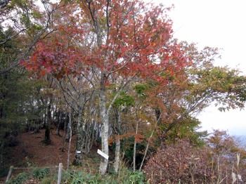 e0110940_2144214.jpg