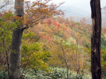 e0110940_21481624.jpg