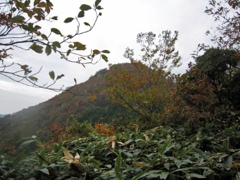 e0110940_21484812.jpg