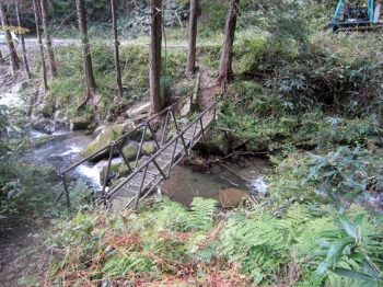 e0110940_2153988.jpg