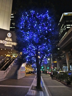 f0141840_22331746.jpg