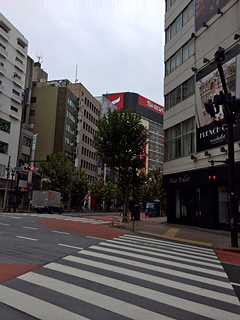 d0093043_17552594.jpg