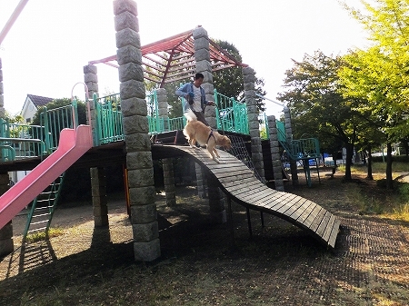 c0097558_175475.jpg
