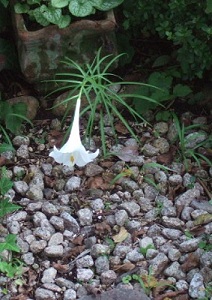 e0225164_726291.jpg