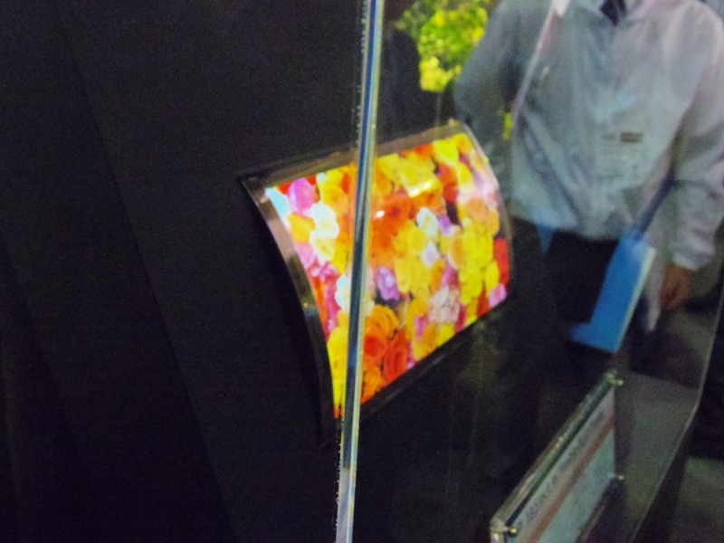 d0031171_1071879.jpg