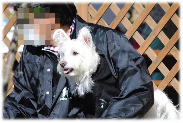 b0242873_1445226.png