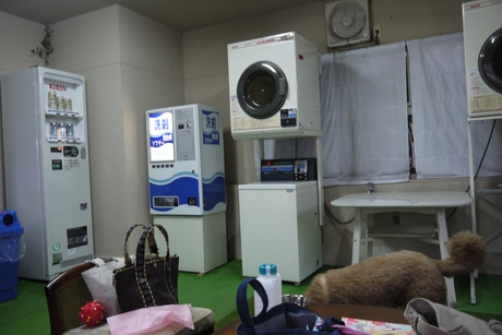 c0283778_16343858.jpg