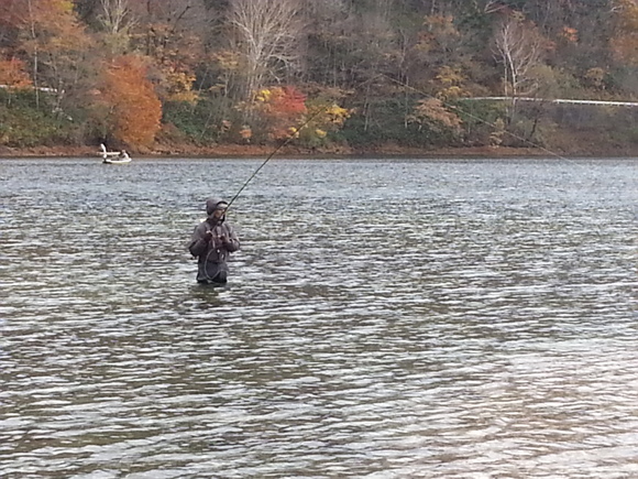 f0199881_20201915.jpg