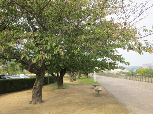 a0251786_21123416.jpg