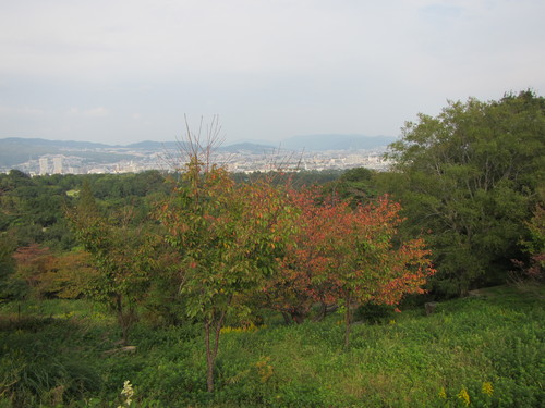 a0251786_213941100.jpg