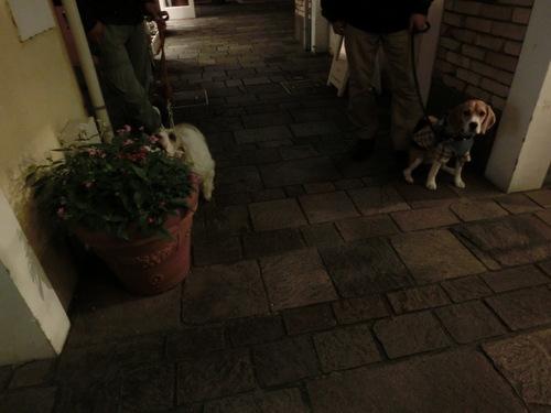 a0319693_21122154.jpg