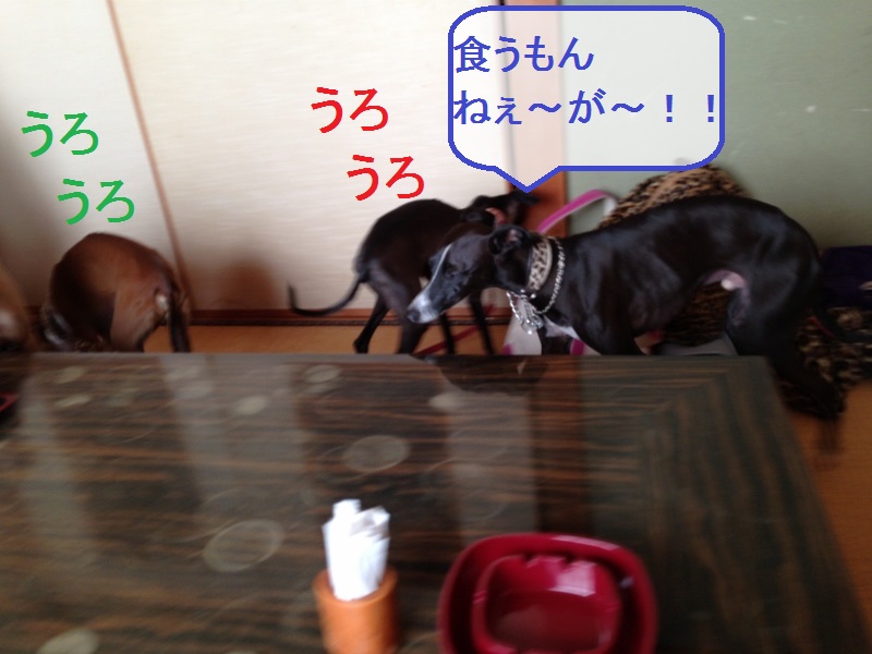 a0284997_19162239.jpg