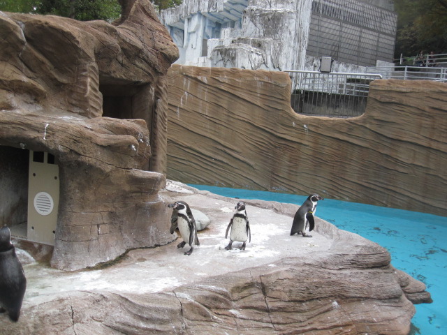 a0145798_19292869.jpg