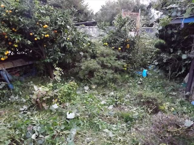 c0108198_2010242.jpg