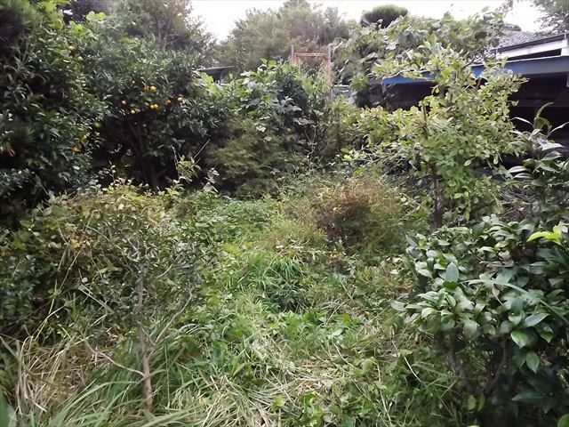c0108198_2055977.jpg