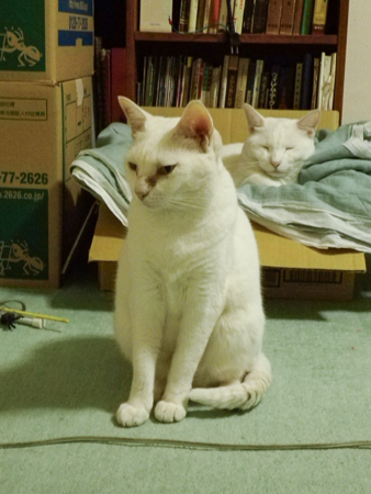 f0239100_22581426.jpg