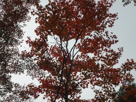 e0292102_13155875.jpg