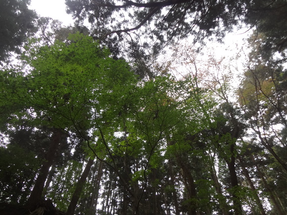 e0292102_138935.jpg