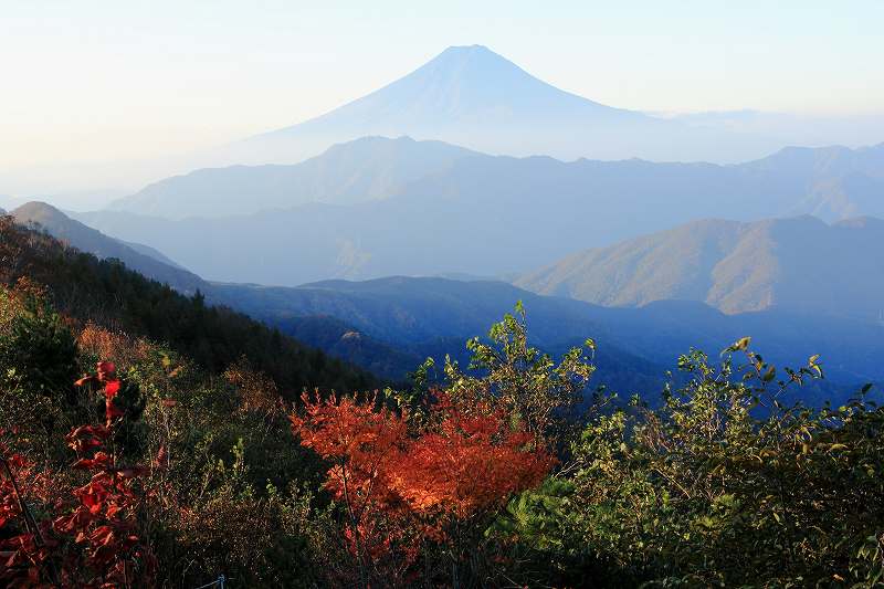 a0188405_930315.jpg