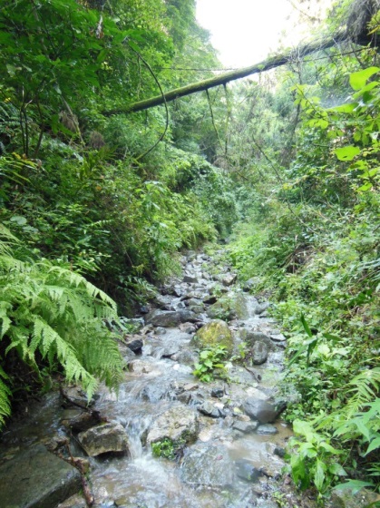 b0273309_13512880.jpg